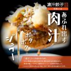 ふるさと納税人気No1、有楽町 物産展でのお取り寄せ餃子 売上No1の、肉汁滴るボリューム満点手作り餃子