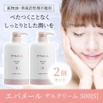 正規品 エバメール オールインワンゲル エバメールゲルクリーム ポンプ500g S 2個セット 宅配便専用 送料無料