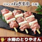 焼き鳥 ジャンボねぎま串 生 キャンプ バーベキュー BBQ