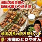 焼き鳥 頑固店長こだわりの焼き鳥20本セット 濃厚味噌だれ(タレ) 塩焼き 焼き鳥 やきとり 焼鳥 国産 水郷どり
