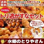 焼き鳥お試しセット ミールキット 送料無料 トリ逃がすなセット5点セット 焼き鳥 ローストチキン 唐揚げ（からあげ・から揚げ） 国産 冷蔵（冷凍）