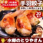 ショッピング餃子 餃子 手羽餃子 20本入 お取り寄せグルメ 取り寄せ ミールキット 手羽先餃子 餃子 冷凍食品 点心 手羽先 送料無料 あすつく