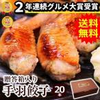 お取り寄せグルメ 手羽餃子 20本入 ミールキット 手羽先餃子 餃子 手羽 冷凍食品 肉 点心 あすつく エールマーケット 送料無料 贈答箱入り