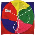 鯉のぼり 単品 バラ 在庫処分 アウトレット 特価 五色吹流 6m 145311053