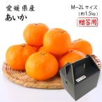 2025 あいか お歳暮 ギフト M〜2Lサイズ 約1.5kg 紅まどんなと同品種 愛媛県産 フルーツ プレゼント みかん ミカン 12月上旬頃より順次発送 爆買