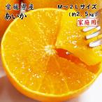 2025 あいか 家庭用 訳あり M〜2L 約2.5kg 紅まどんなと同品種 愛媛県産 フルーツ みかん ミカン 12月中旬頃より順次発送 爆買