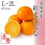 2024 お歳暮 ギフト 紅まどんな L〜2Lサイズ 約3kg 赤秀品 愛媛県 フルーツ プレゼント みかん ミカン 12月上旬頃より順次発送