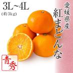 2025 お歳暮 ギフト 紅まどんな 3L〜4Lサイズ 約3kg 青秀品 愛媛県 フルーツ プレゼント みかん ミカン 12月上旬頃より順次発送 爆買