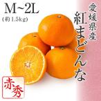 2025 お歳暮 ギフト 紅まどんな M〜2Lサイズ 約1.5kg 赤秀品 愛媛県 フルーツ プレゼント みかん ミカン 12月上旬頃より順次発送 爆買