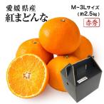 2025 お歳暮 ギフト 紅まどんな M〜3Lサイズ 約2.5kg 赤秀品 愛媛県 フルーツ プレゼント みかん ミカン 12月上旬頃より順次発送 爆買
