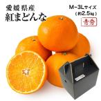 2025 お歳暮 ギフト 紅まどんな M〜3Lサイズ 約2.5kg 青秀品 愛媛県 フルーツ プレゼント みかん ミカン 12月上旬頃より順次発送 爆買
