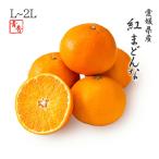 2025 お歳暮 ギフト 紅まどんな L〜2Lサイズ 約5kg 青秀品 愛媛県 フルーツ プレゼント みかん ミカン 12月上旬頃より順次発送 爆買