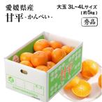 ショッピング甘平 愛媛県産 甘平 かんぺい 秀品 大玉3L〜4L 約5kg みかん ミカン ギフト フルーツ 2月上旬ごろより順次発送