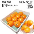 ショッピング甘平 愛媛県産 甘平 かんぺい 秀品 大玉3L〜4L 8〜10玉入 約3kg 化粧箱入 みかん ミカン ギフト フルーツ 2月上旬ごろより順次発送