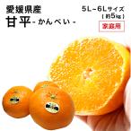ショッピング甘平 愛媛県産 甘平 かんぺい 家庭用 訳あり 5L〜6L 約5kg みかん ミカン フルーツ 2月上旬ごろより順次発送