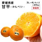 ショッピング甘平 愛媛県産 甘平 かんぺい 家庭用 訳あり 3L〜4L 約5kg みかん ミカン フルーツ 2月上旬ごろより順次発送