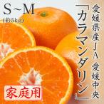 カラマンダリン 家庭用 訳あり S〜Mサイズ 約5kg 愛媛県 フルーツ ギフト みかん ミカン 4月下旬ごろより順次発送
