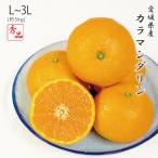 カラマンダリン 秀品 L〜3Lサイズ 約5kg 愛媛県 フルーツ ギフト みかん ミカン 4月下旬ごろより順次発送