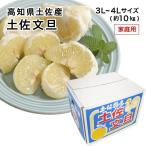 土佐文旦 家庭用 訳あり 3L〜4Lサイズ 約10kg 高知県産 みかん フルーツ 2月上旬ごろより発送