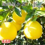 (4月中旬ごろより順次発送) 高知県産 小夏 M〜Lサイズ 約2.5kg 家庭用 訳あり ニューサマーオレンジ 日向夏 みかん フルーツ