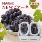 2025ニューピオーネ赤秀品約60...