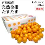 (2月上旬ごろより順次発送) 宮崎県産 完熟きんかん たまたま 家庭用 訳あり L〜3L サイズおまかせ 約3kg きんかん キンカン 金柑 フルーツ
