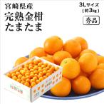  Miyazaki префектура производство ....... кроме того, . превосходящий товар сахар раз 16 раз и больше 3L размер примерно 3kg.... кинкан золотой . фрукты 2 месяц средний . около .. последовательный отправка . покупка 