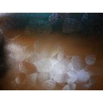 1060961# дерево лист # type доска стекло # retro стекло # примерно 300mm×300mm×2mm