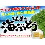 Yahoo! Yahoo!ショッピング(ヤフー ショッピング)沖縄 純久米島産  球美の海ぶどう 200ｇ