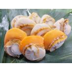 ショッピングホタテ ボイルホタテ M 1kg 26-30粒 ほたて ホタテ 帆立貝 ボイル ボイル帆立 鍋 BBQ バーベキュー 帆立 【水産フーズ】