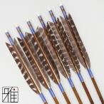  стрельба из лука East n карбоновый стрела ta- ключ тигр .8023|6 шт. комплект |. нить : синий серия |. гора смычок . магазин suizan|808301