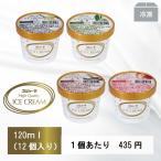 ギフト スゴイカタイアイス 選べるスジャータハイクオリティアイスクリーム 詰め合わせ 120ml (12個入)