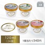 ギフト スゴイカタイアイス 選べるプレミアムアイスクリーム 詰め合わせ 120ml (24個入)
