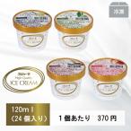 ギフト スゴイカタイアイス 選べるプレミアムアイスクリーム 詰め合わせ 120ml (24個入)