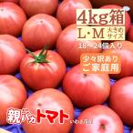 【訳ありご家庭用】親バカトマト約４kg ＬＭサイズ 20個〜24個入り いわき市産