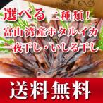 【送料無料】よりどり2袋！富山湾産ホタルイカ一夜干し・いしる干し【美味しい素干し】