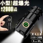 懐中電灯 LEDライト LED 充電式 強力 防災 小型 コンパクト 手のひらサイズ 全長80mm USB充電式 説明書付き