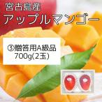 (3)【予約販売】贈答用A級品　宮古