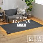 ホットカーペット カーペット ホット 1.5畳 用 ホットカーペット本体 TWA-1500BI TEKNOS (D) 新生活