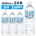水 ミネラルウォーター 天然水 500ml 24本セット まとめ買い ペットボトル 国産 LDC 自然の恵み天然水 ライフドリンクカンパニー (D) 代引不可