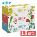 スコッティ ティシュー フラワーボックス 320枚（160組） 5箱  12個セット 日本製紙クレシア (D)