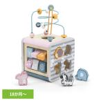 おもちゃ 知育 指あそび アクティビティボックス TYPR44030 DADWAY