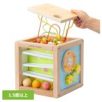 おもちゃ 子ども用おもちゃ プレゼント あそびたっぷり フルーツアクティビティボックス ウッディプッディ(B)