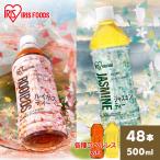 【48本】お茶 ルイボス ルイボステ