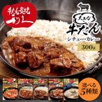 牛たん レトルト 大きな牛たんカレー シチュー トマトシチュー 野菜いっぱいキーマカリー ホワイトシチュー 300g (D)