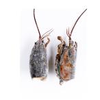 * для бизнеса пищевые ингредиенты * рефрижератор омар голубой head 5kg (459051223)