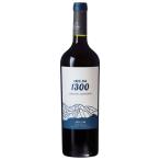 【アルゼンチンワイン】Andeluna Cabernet Sauvignon 750ml （IA137)★送料￥1,100-申し受けます