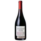 【チリワイン】 Pinot Noir Gran Reserva Aaron Titon Single Vineyard 750ml (IW095)
