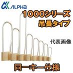  Alpha ALPHA юг столица таблеток грузоподъемность длина модель 1000-30mm L/S такой же один ключ 20E51 такой же ключ No Kanto No