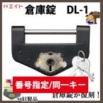  номер указание / такой же один ключ eito склад таблеток DL-1 очень большой старый размер Special 1 номер brudok склад таблеток переиздание товар 